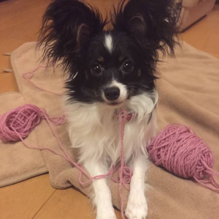 546f4ea3 0400 4dff b910 9359b5bf9fb8