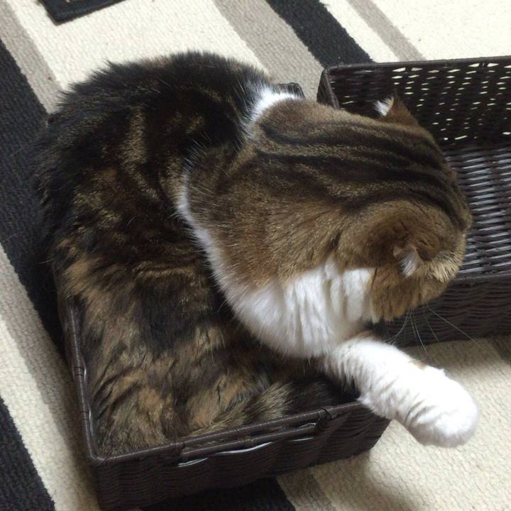 546f53d7 0917 40b4 abd7 76489508f362