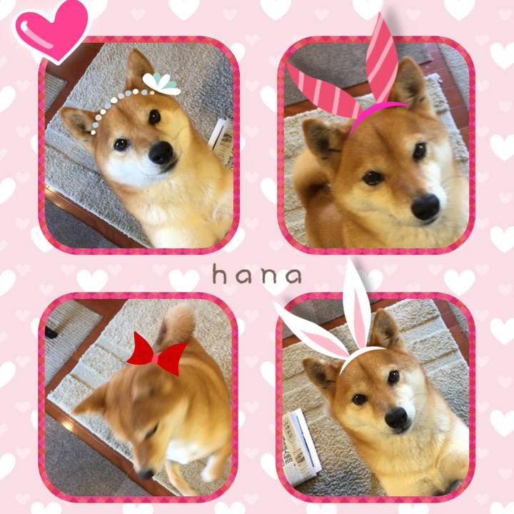 546f58a6 74da 46cf 8613 18dad3df6a17