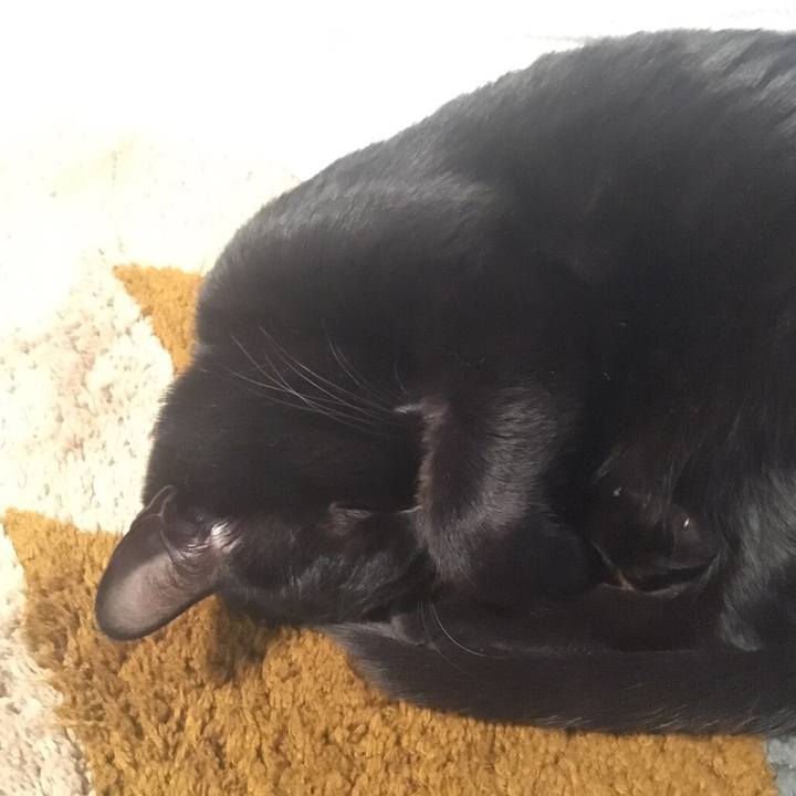 546fbb3d f776 4baf 8c11 95c70e75f804