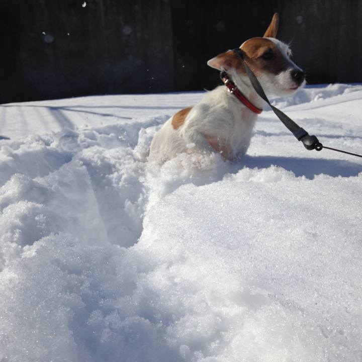 546ff44a 093c 4c0e bd9d 93a394f5f18d