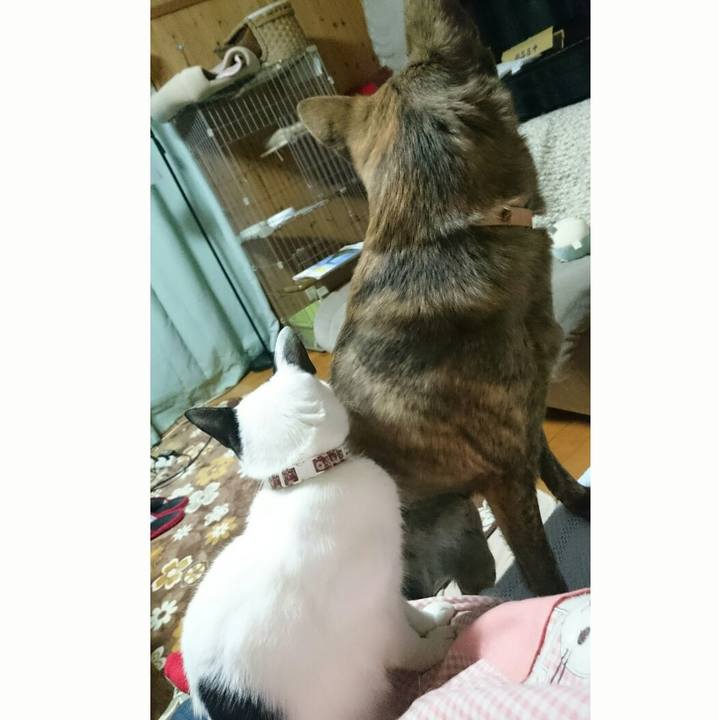 5470080e b202 4e23 aa08 64098b930442