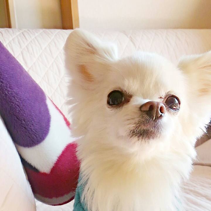 54706b37 88c5 4946 924e 2edd5863b272