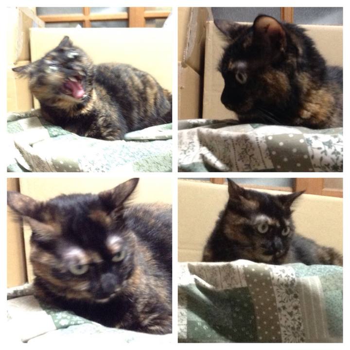 54708330 55ca 4578 aea3 fa2e0c5219f8