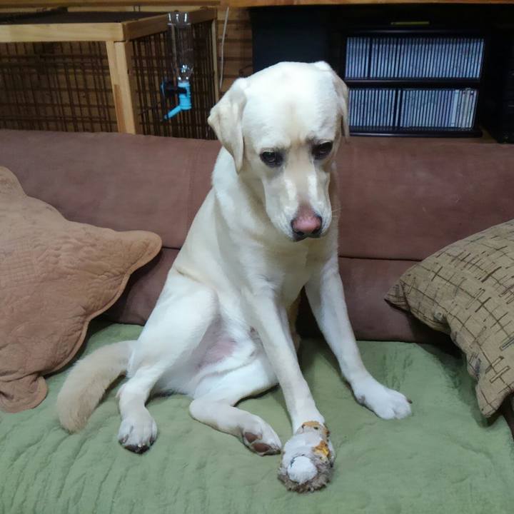 5470da48 cca1 46a7 9a2a 18b1006acb30