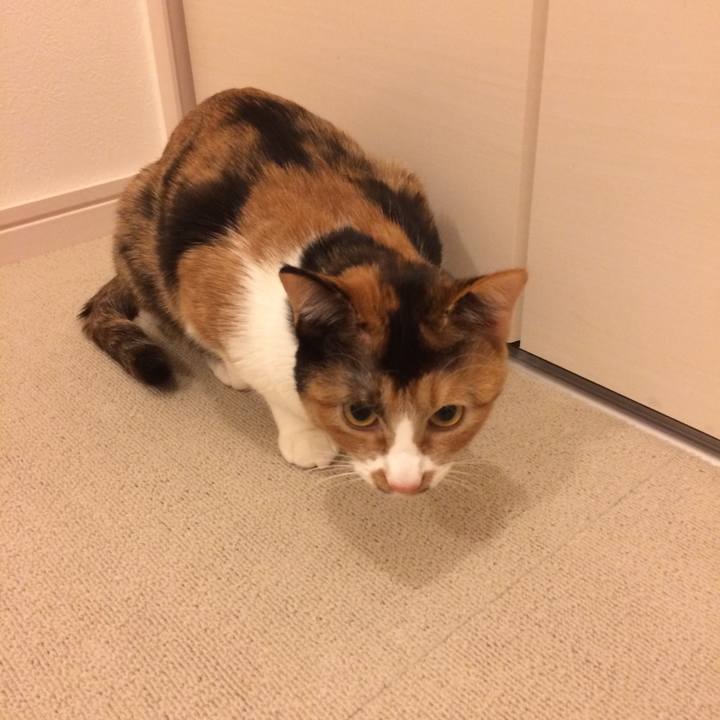 547143b3 feb5 40fa a02c 17941c1e88fb