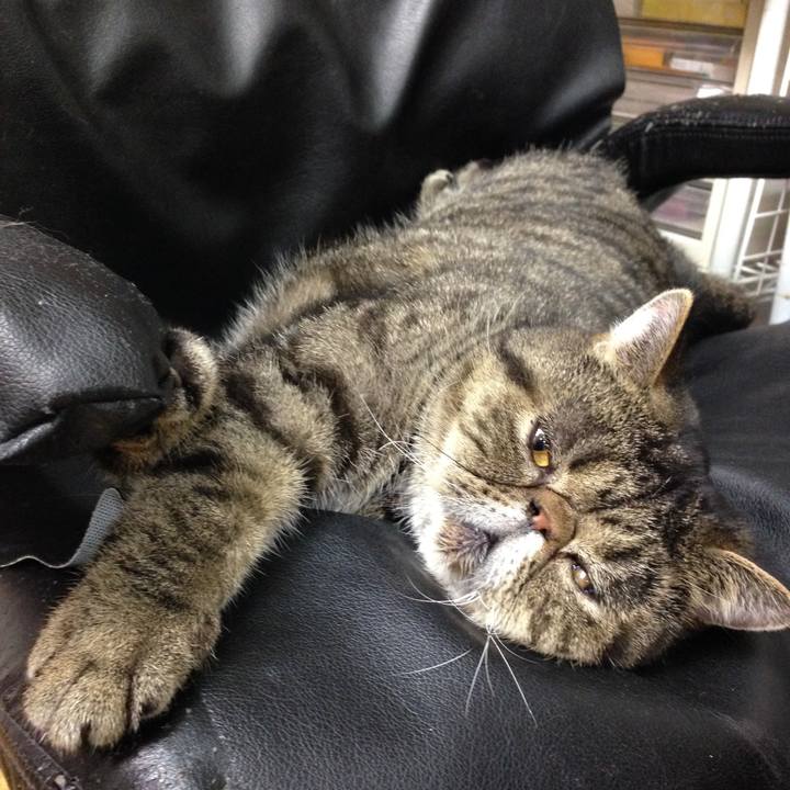 54717802 c520 4e8d a774 069d0de44464