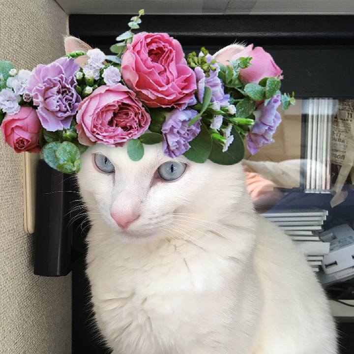 547220f9 3eab 4f11 9b1a c0fb2aaa38fe