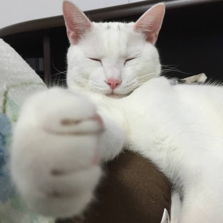 547286c4 27f3 4db4 ae88 1ab72b830c50