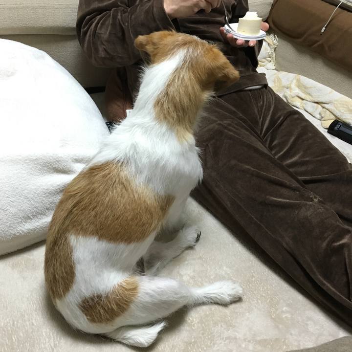 5472afe3 f874 48af a23f 41b2cfa452d4