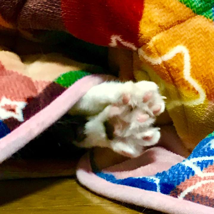 547320d6 d36d 4439 8645 1ff82d4690e3