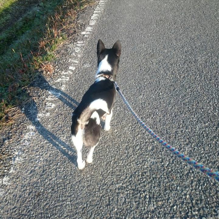 54738344 1c66 4c56 8c48 62446f95387f