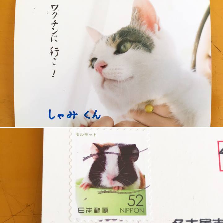 5473a532 13c1 4f39 927e 1dfa93c240db