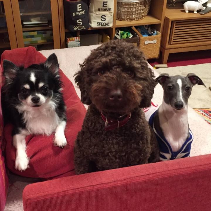 5473b75c fea4 4332 8523 489a81838f88