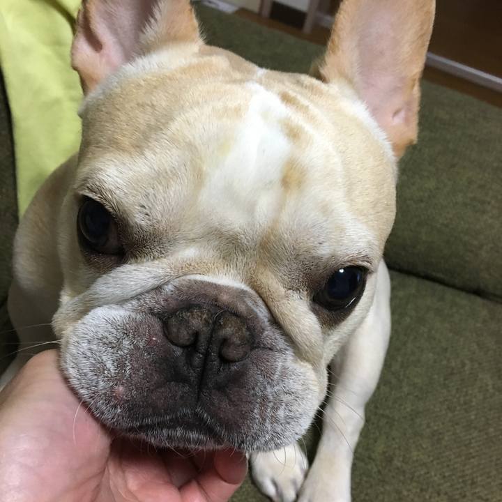 5473ef97 d391 46ee a28f 872c26194c1d