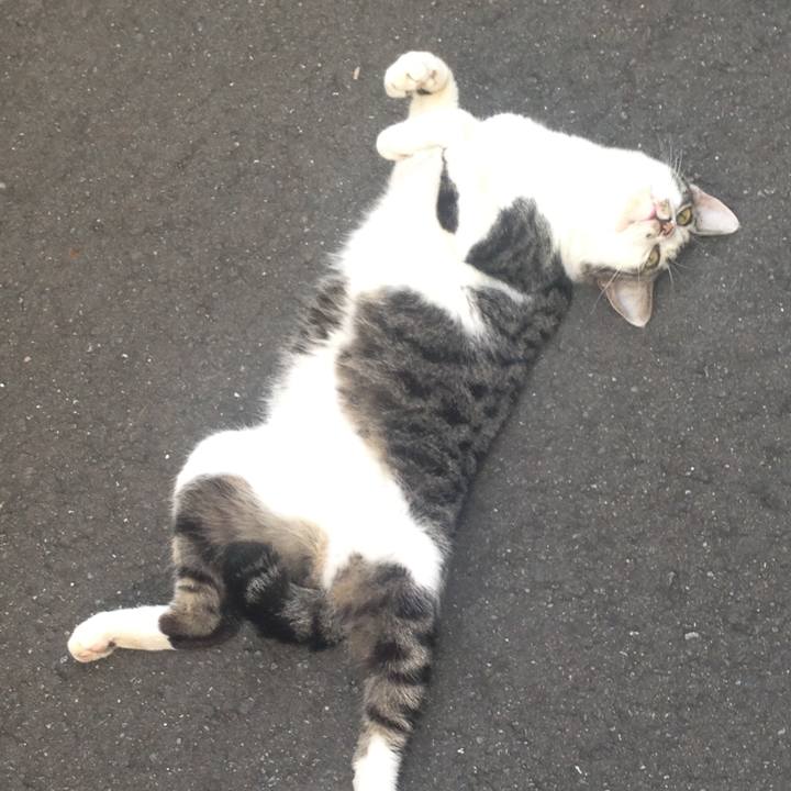 5474eeda ff05 49a8 ae5c a03a0c0fa037