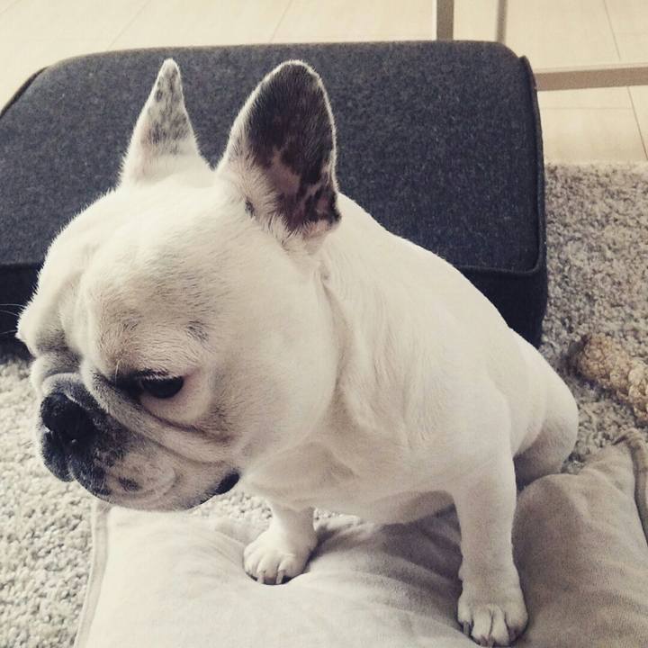 5475317d acc3 4e4f ad43 fbdb6f177406