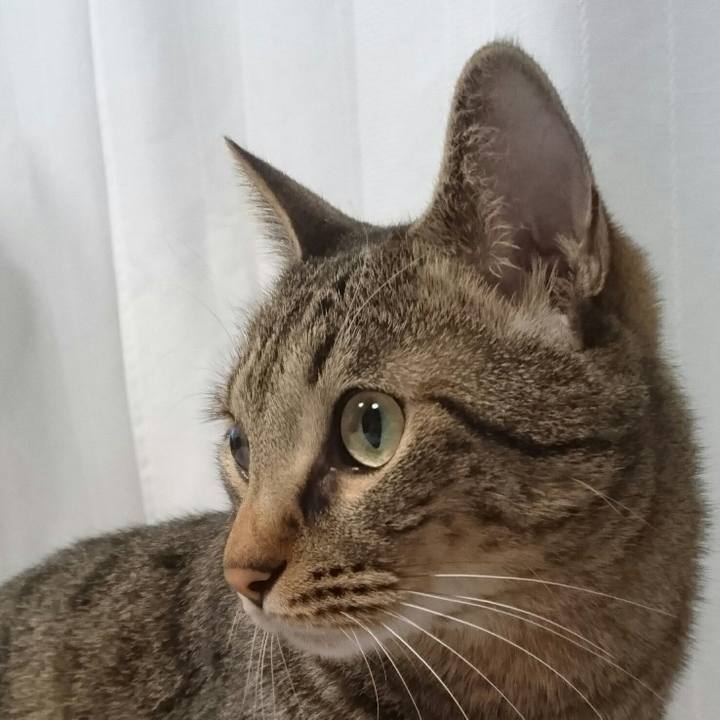 5476ba15 f108 4cb0 92a5 8f25d1040405