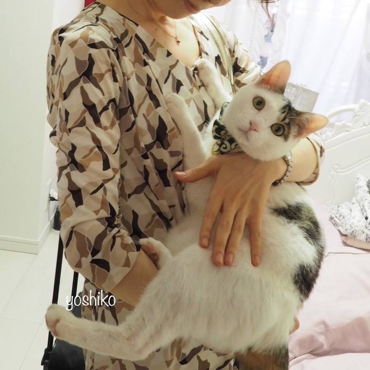 54771aeb 8d0a 43eb bfd4 e451bb761dd2