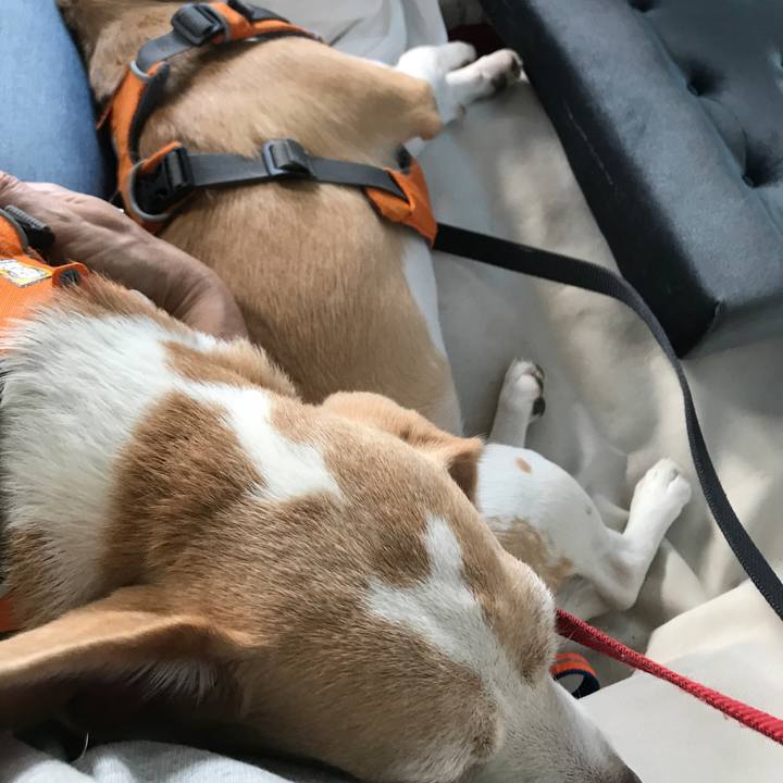 5477385c 6ee6 4755 8909 60a93d167f13