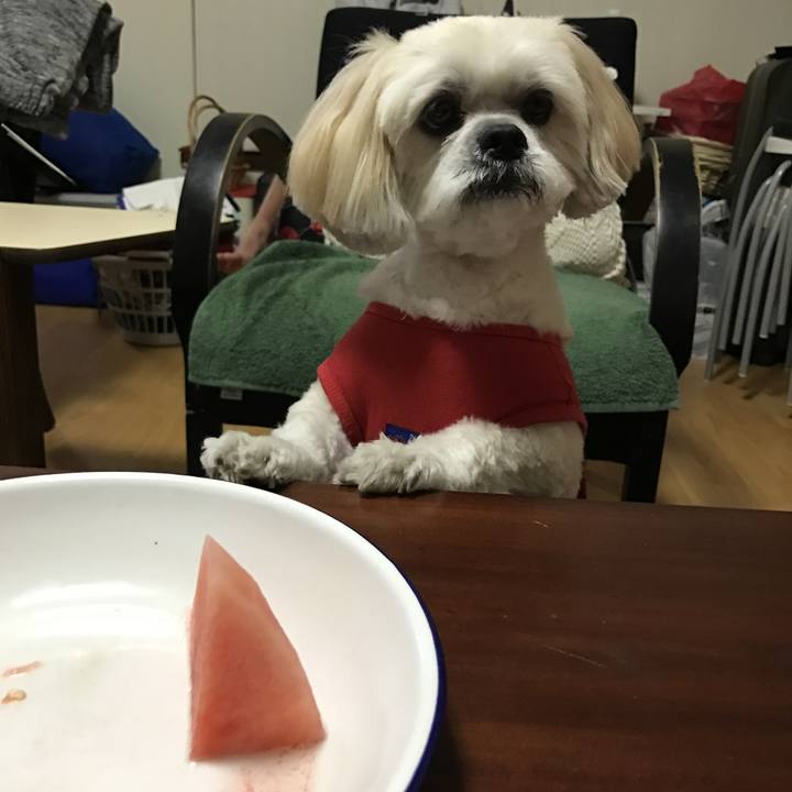 54779eb9 b817 43ac 9150 ec020e7f239d