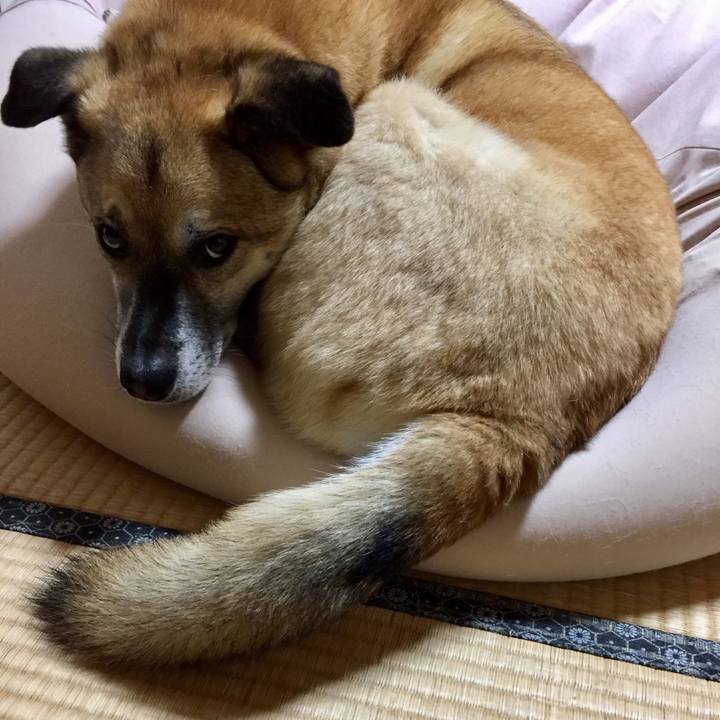 54787f71 f825 4238 8516 473d97d51ce1