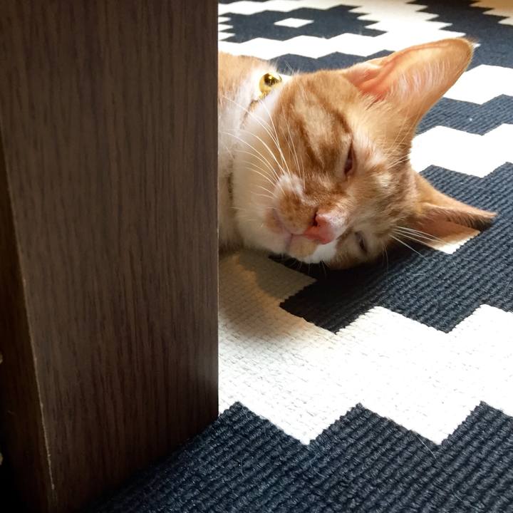 54794c93 dc74 4d1c b7da 4ee242abefe6