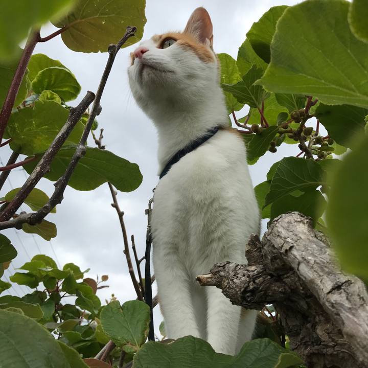 54797179 23bd 4b3d 93a9 e9fec8ada6a5