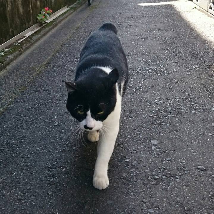 547978f7 793f 4e9a 8d5f 99d79091439f