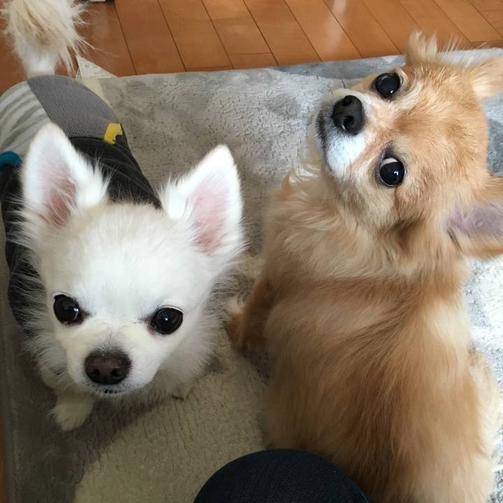 5479a773 22c3 4600 9d41 ec71c1f86187