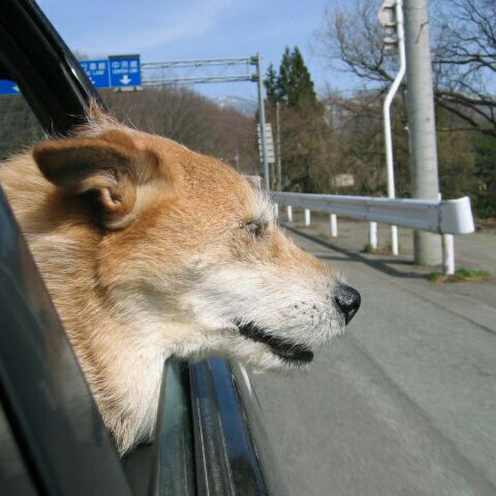 5479acf7 2e27 407a b7fc be06a83e6225