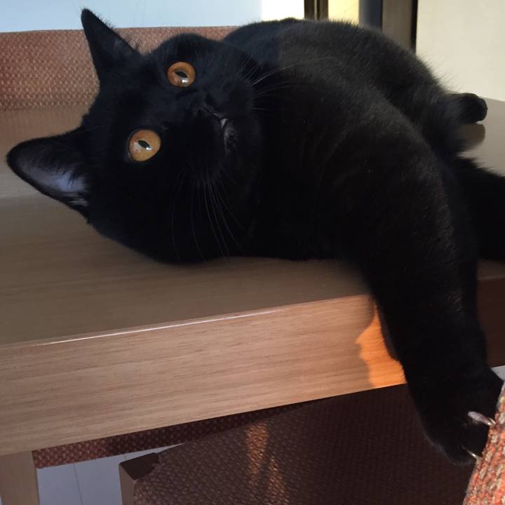 547a4f1a e098 404c a7e4 ca1c60e16b45