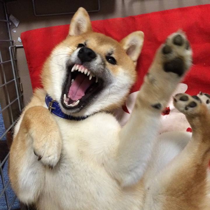 547a6ff9 3268 49fb 8b5c d707069acb9c