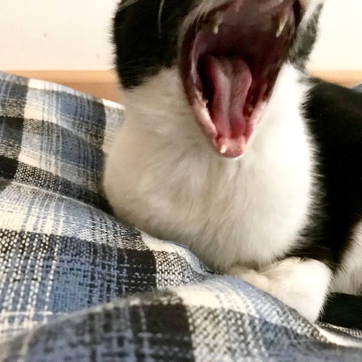 547a7886 e093 4bb9 91bc 0c532345c3ba