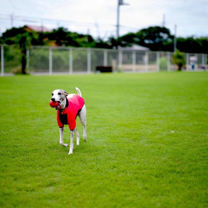 547b124d 3d52 423b a4ba 0ceaffa6621e