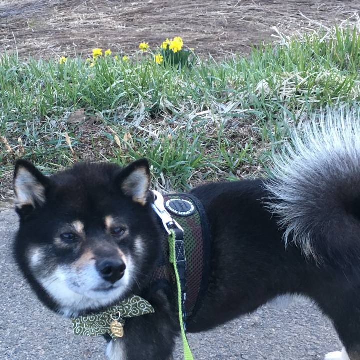 547b9d4c caea 484b 84b9 8053eb96c599