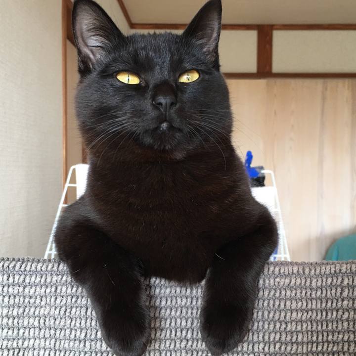 547c5175 acd5 4a1f 88ef 38e9ba88f421