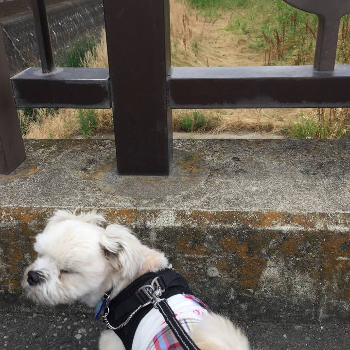 547d00c1 d5f5 4b6c 8ca2 af689aa38cc3