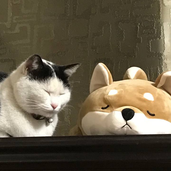 547d057d 16fa 45a3 8fd4 58d8e14a33ef