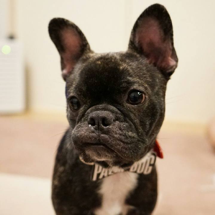 547d6c52 66bc 4e0b ad0d 8bb91daa22b8