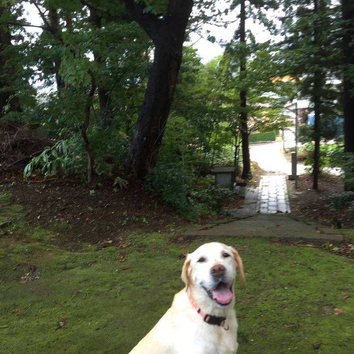 547d7634 1495 4de0 9113 4119f3e5a7e1