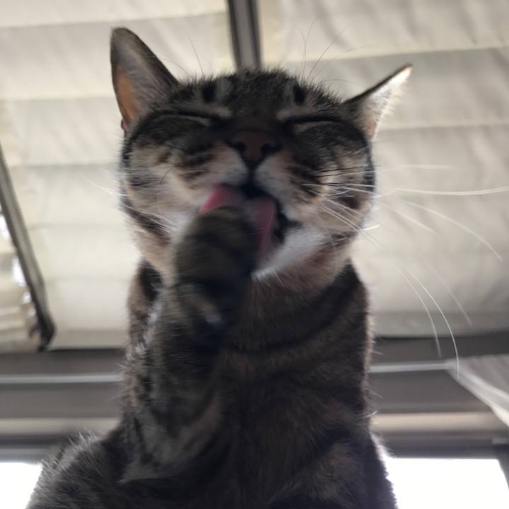 547da363 85d1 4e5a 8fee 1318a89572a0