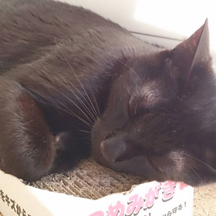 547da57f 91b7 42e4 bf23 053537c5ffa3