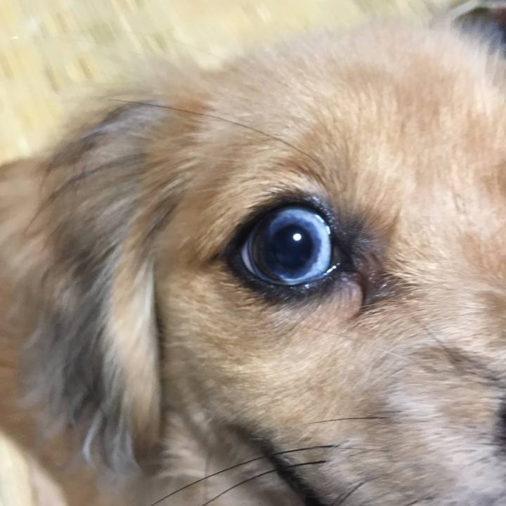 547f406b 874a 4853 a56f 5091f1b05d1b