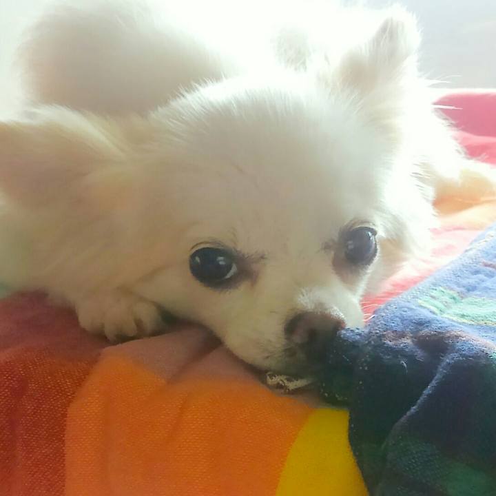 547f4340 22cc 43ed 9d31 8f431aca63ca