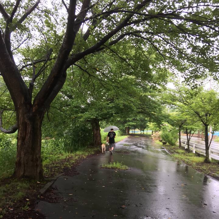 547f8966 21bd 4b49 bdb9 74512b289097