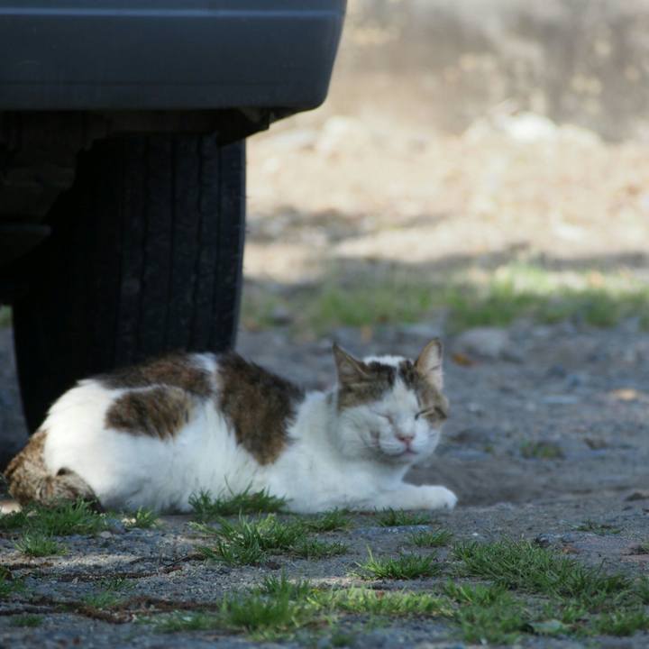 54813bb1 ff5c 421b 822f 1e116aa552b4