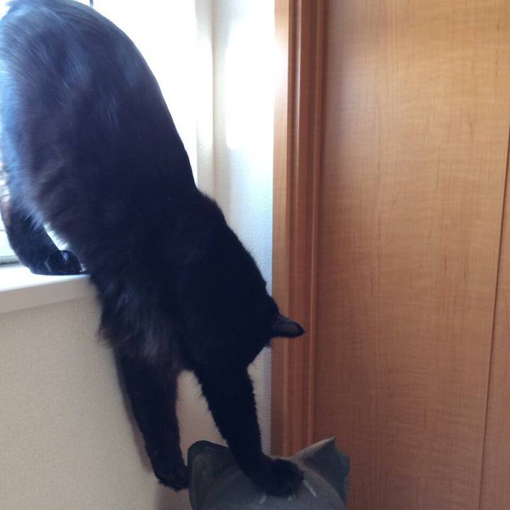 54814606 74da 4837 9701 053f64471e74