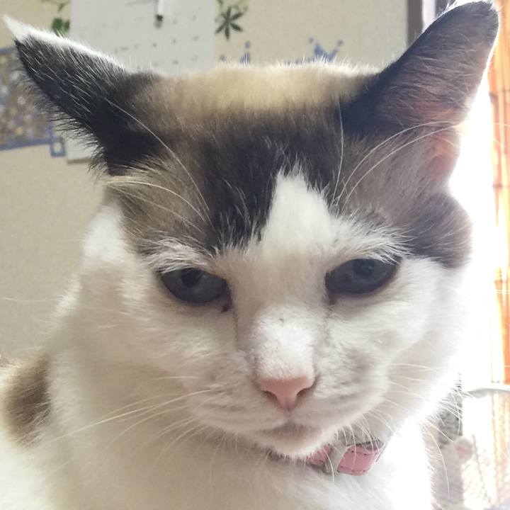 54817d18 3b2b 4218 bf61 705e1966d72c