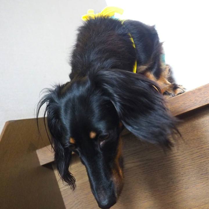 54820c17 77b7 4758 ac12 05a542018d72